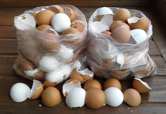 Skorupki jaj: Drugie życie kuchennego odpadu w duchu less waste